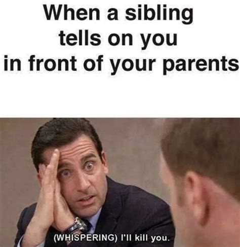 50 Hilarious Sibling Memes: From Fights To Fun!.